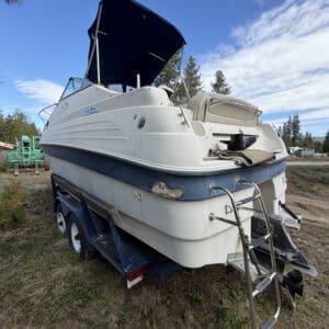 IMG_6552 - Montana Auctions by Kevin Hill Rear view of a white and blue motorboat on a trailer in a grassy lot, with a dark blue canopy raised overhead and a metal boarding ladder at the stern.