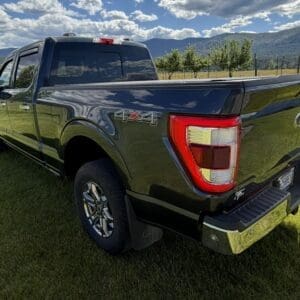 Black pickup truck parked on a grassy field with mountains in the background; 4x4 badge visible on the side tail area.