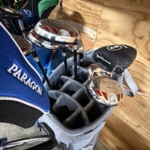 Golf bag with multiple clubs in a cart, showing shiny iron heads and a Paragon cover.