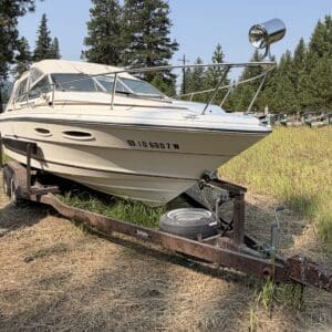 17 1 - Montana Auctions by Kevin Hill White motorboat on a rusted trailer in a grassy field, with tall evergreen trees in the background.