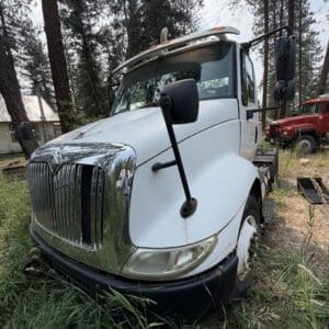 21 1 - Montana Auctions by Kevin Hill White semi-truck cab parked in a grassy, wooded lot with tall trees and a chrome grille in the foreground beside overgrown grass.