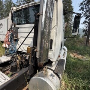 21 3 - Montana Auctions by Kevin Hill White semi-truck tractor with a tall chrome exhaust stack, angled cab, and exposed engine area, parked among tall trees and overgrown grass.