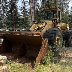 24 1 - Montana Auctions by Kevin Hill A yellow bulldozer with a rusted blade parked in a forested area, large tires and dense trees in the background.