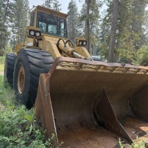 24 1 - Montana Auctions by Kevin Hill Front view of a large yellow bulldozer with a rusted scoop blade, parked in a forest clearing among tall pine trees.