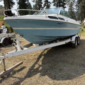 IMG_8704 - Montana Auctions by Kevin Hill Blue and white speedboat on a white dual-axle trailer in a grassy, tree-filled yard. Accessible scene shows the vessel ready for transport or storage.