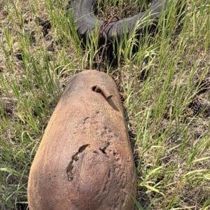 IMG_8878 - Montana Auctions by Kevin Hill Large, rusted oval metal object in a grassy field, with a tire nearby and a rope looping around it, outdoors.
