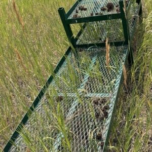 IMG_8929 - Montana Auctions by Kevin Hill Green metal farm rack with a mesh platform sitting in tall grass in an open field