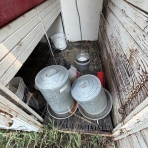 IMG_8976 - Montana Auctions by Kevin Hill Narrow outdoor storage area with two metal pails on a grated floor, surrounded by weathered wooden walls and a red seat above left; clutter and overgrown grass at the entrance.