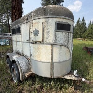 IMG_8978 - Montana Auctions by Kevin Hill Old, weathered aluminum travel trailer on a rusty hitch, overgrown grass surrounds it in a rural setting.
